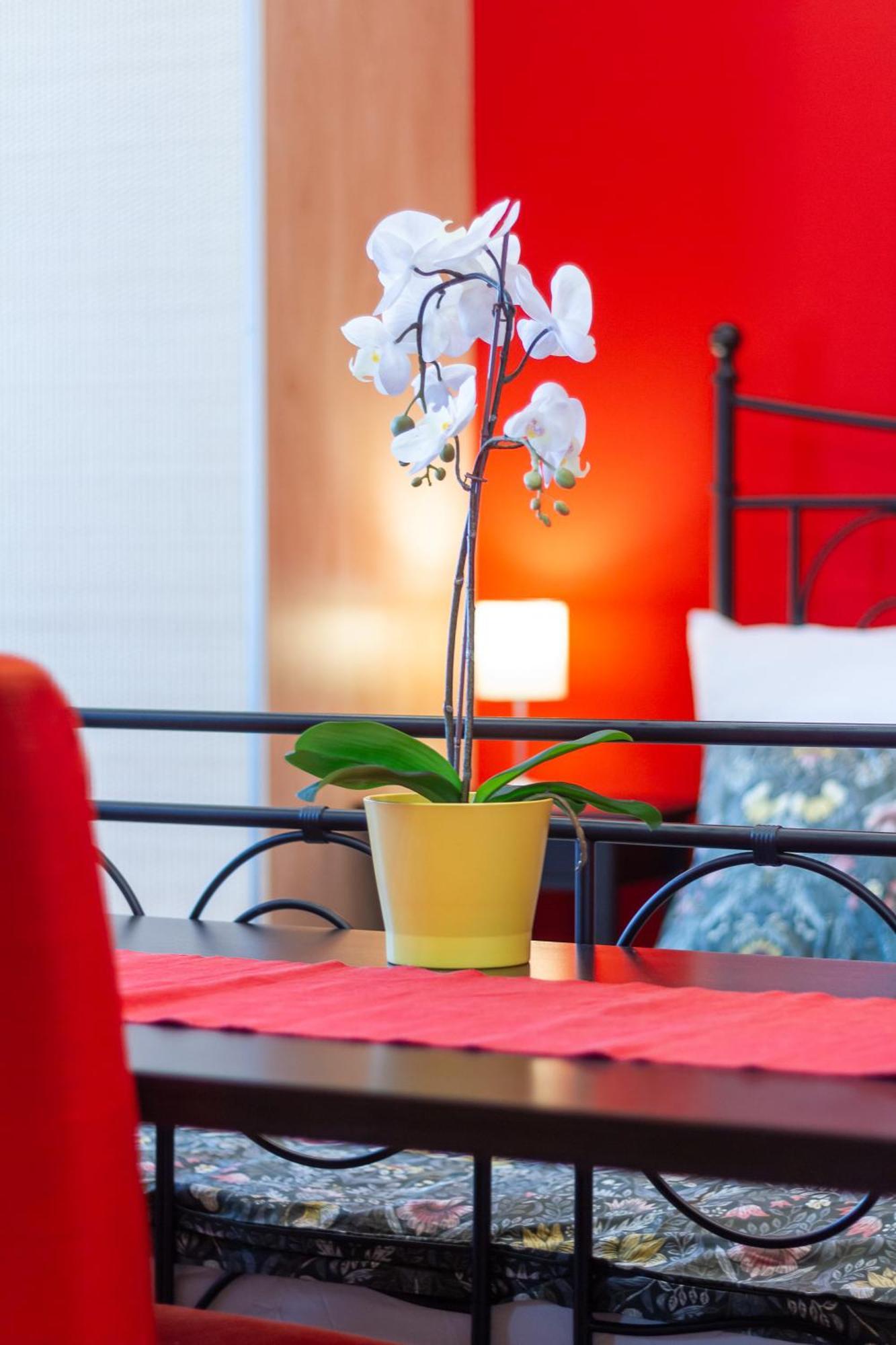 Badepest Apartment Budapeşte Dış mekan fotoğraf